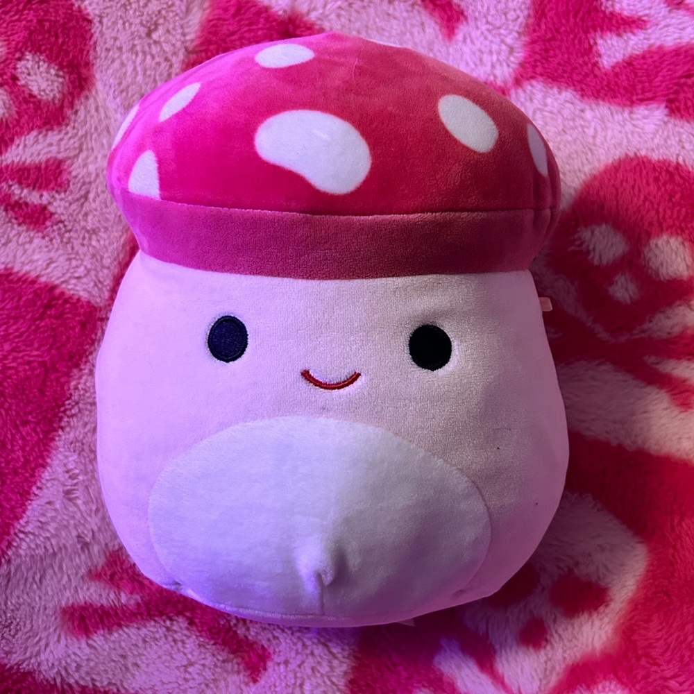 Malcolm mushroom Squishmallow✨🍄🎀